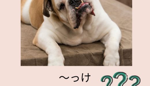 Xó 30#  “Phải không ta” trong tiếng Nhật