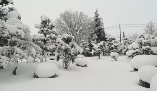 Xó#14: Mùa đông ở Nhật và những từ vựng liên quan